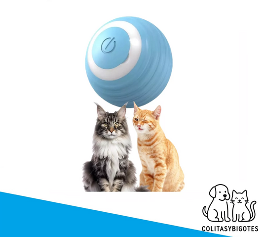 PawPlay Bola Interactiva™